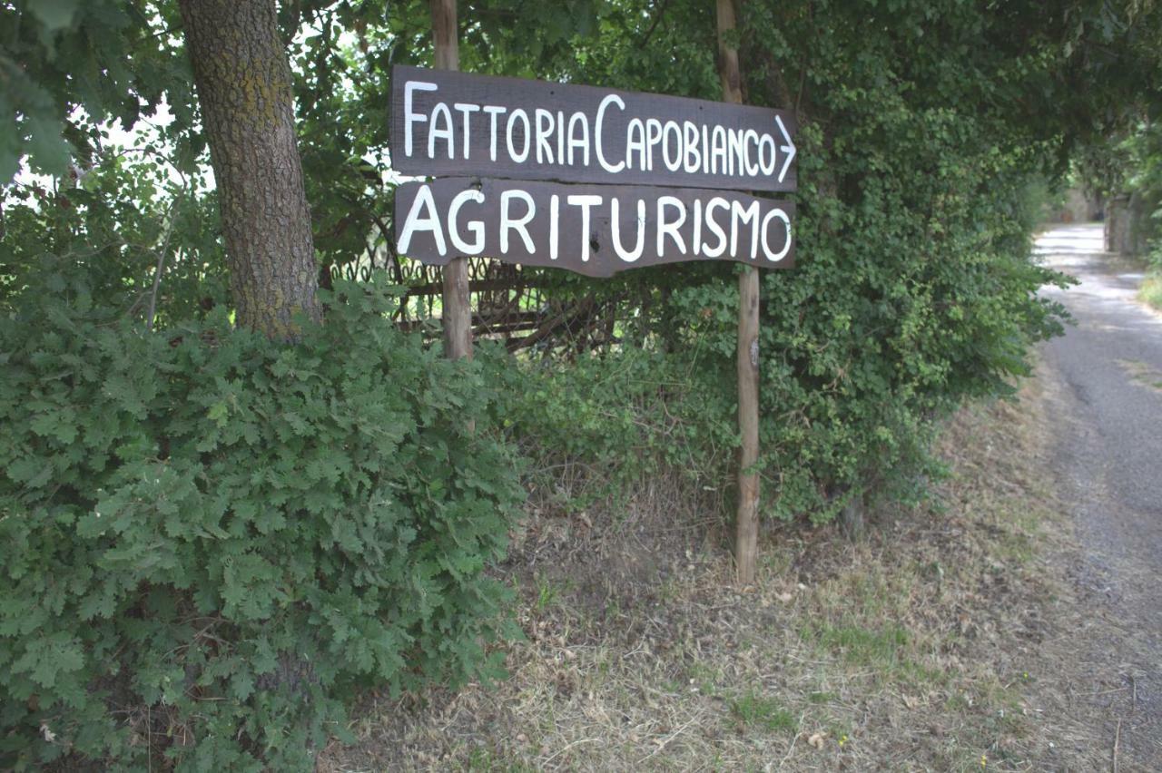 Fattoria Capobianco Montefiascone Exterior foto