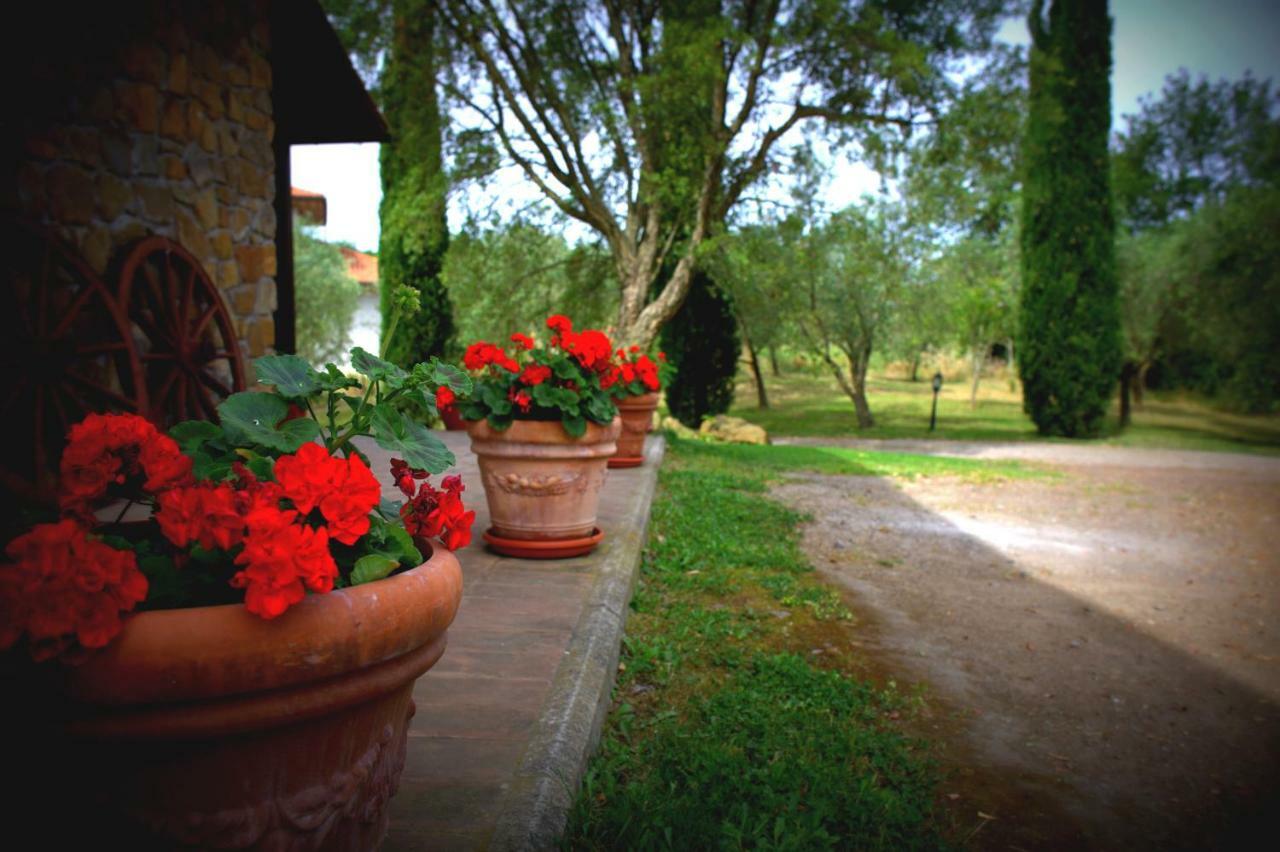 Fattoria Capobianco Montefiascone Exterior foto
