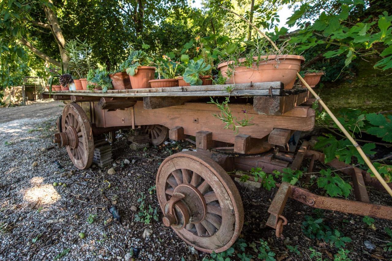 Fattoria Capobianco Montefiascone Exterior foto